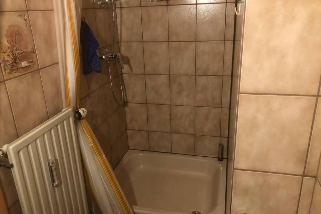 Beste Lage Im Zentrum Und Am Hofgarten 150Qm Mit Klima, 2Xbalkon, Aufzug, Familienfreundlich Bayreuth Eksteriør billede